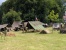 Marle : Juin 2007 (232)
