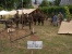 Marle : Juin 2007 (235)
